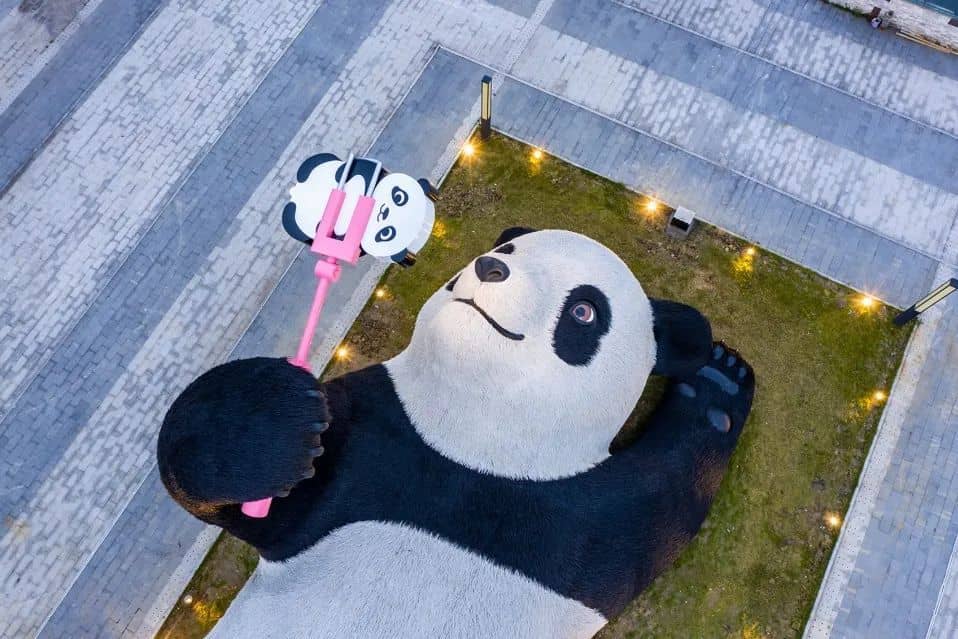 网红熊猫.jpg
