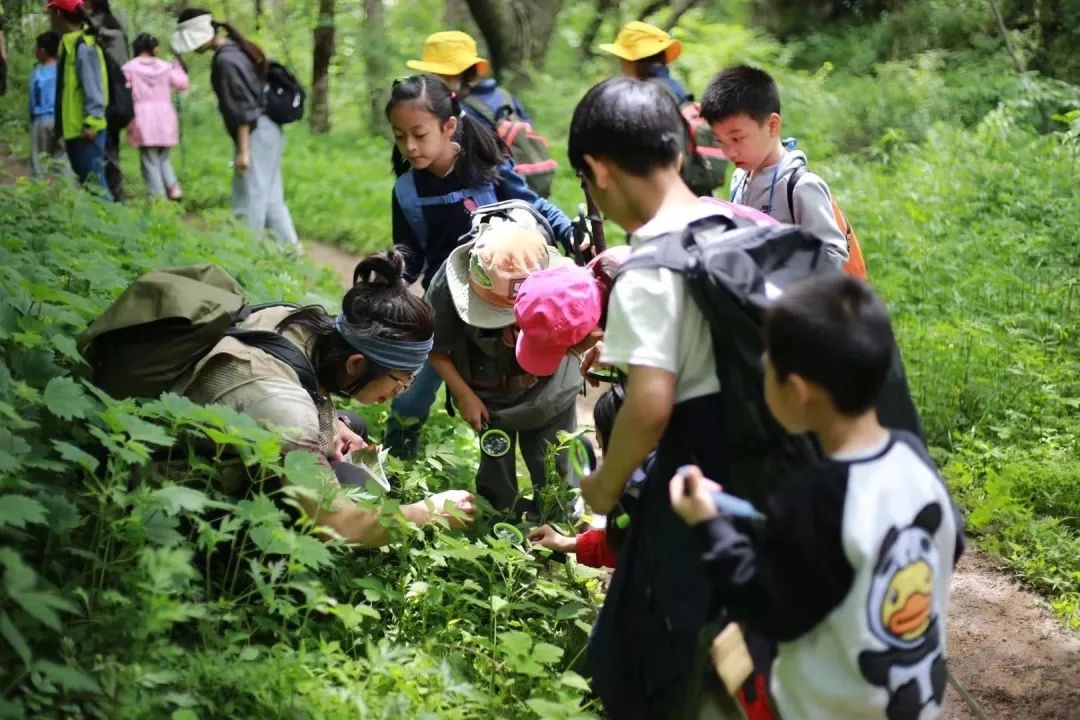 徒步3.jpg