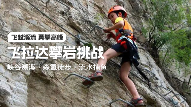 飛拉達封面.jpg