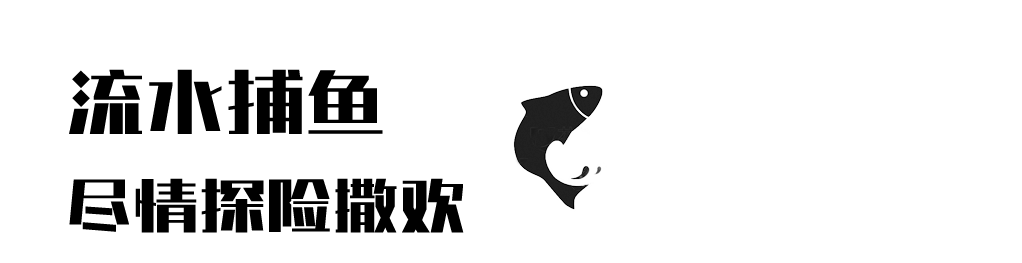飛拉達標題4.png