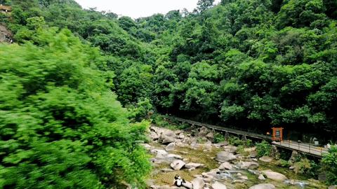 大豐門.gif