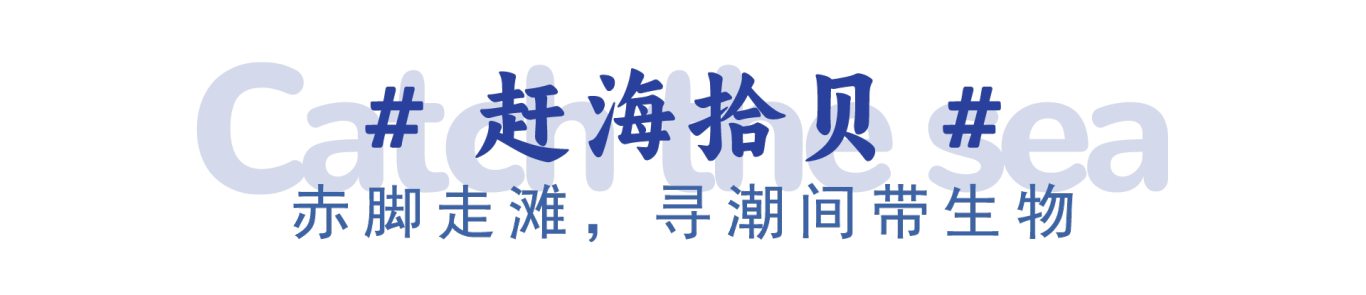 盐洲岛标题.png